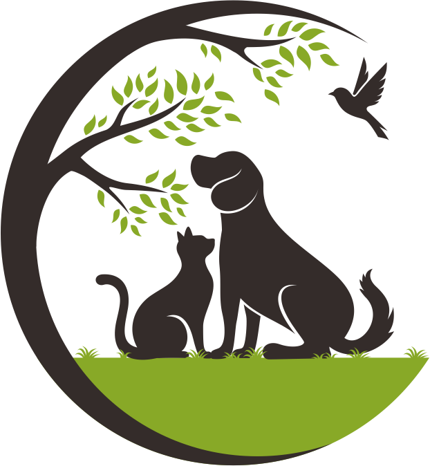 Teste de sistema Veterinário